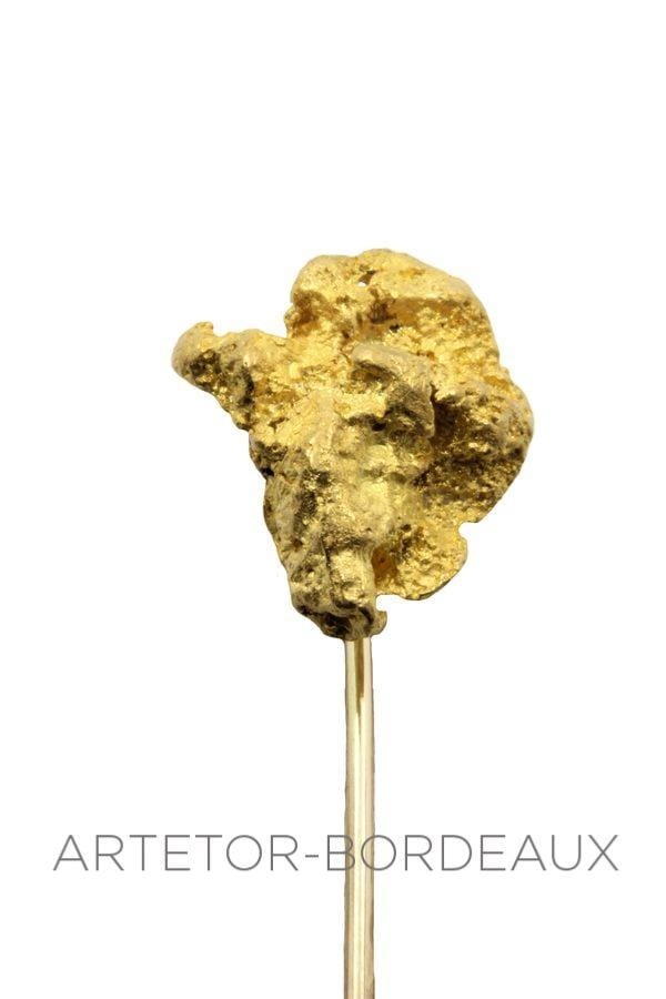 Nugget pin - . Görsel