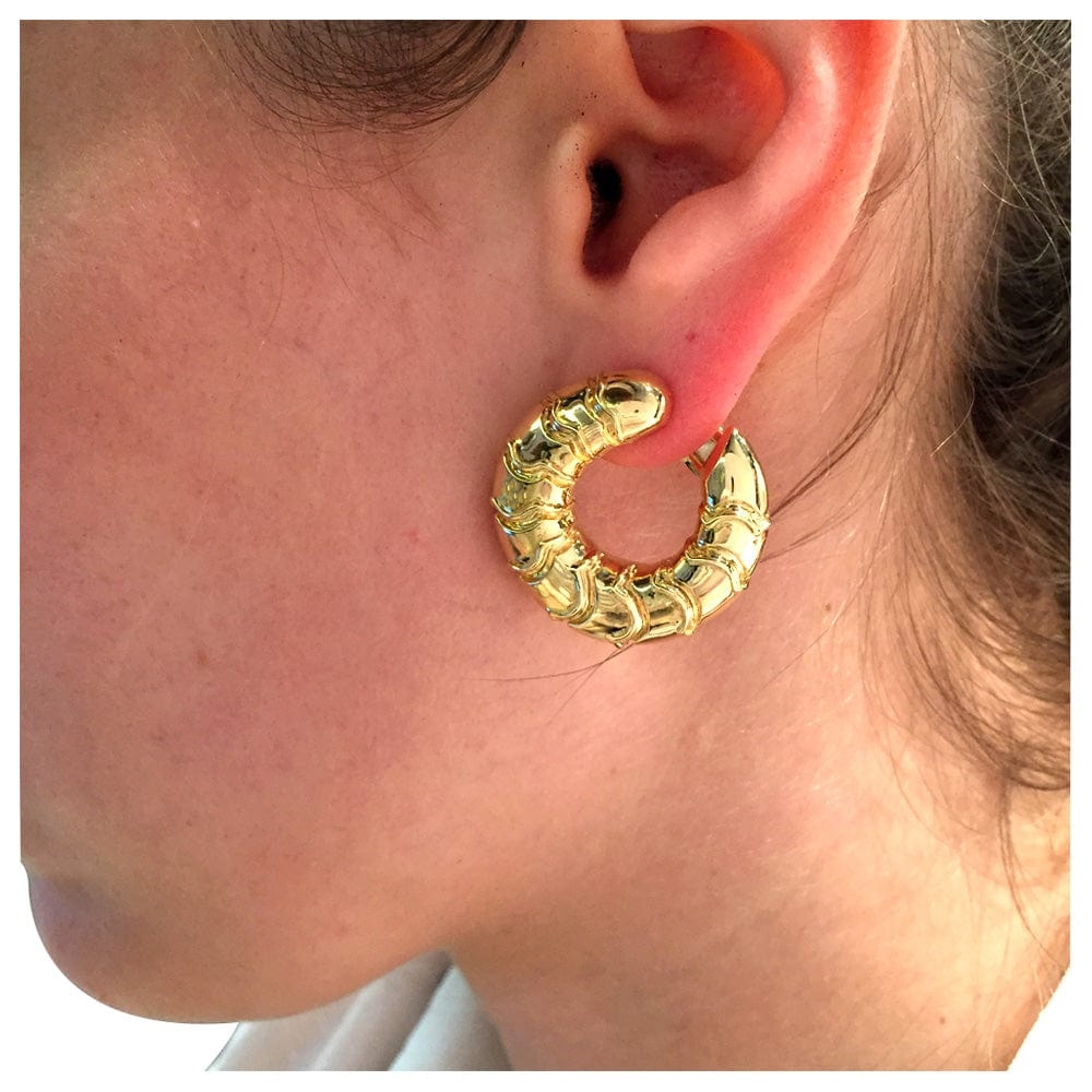 Hoop earrings Marina B