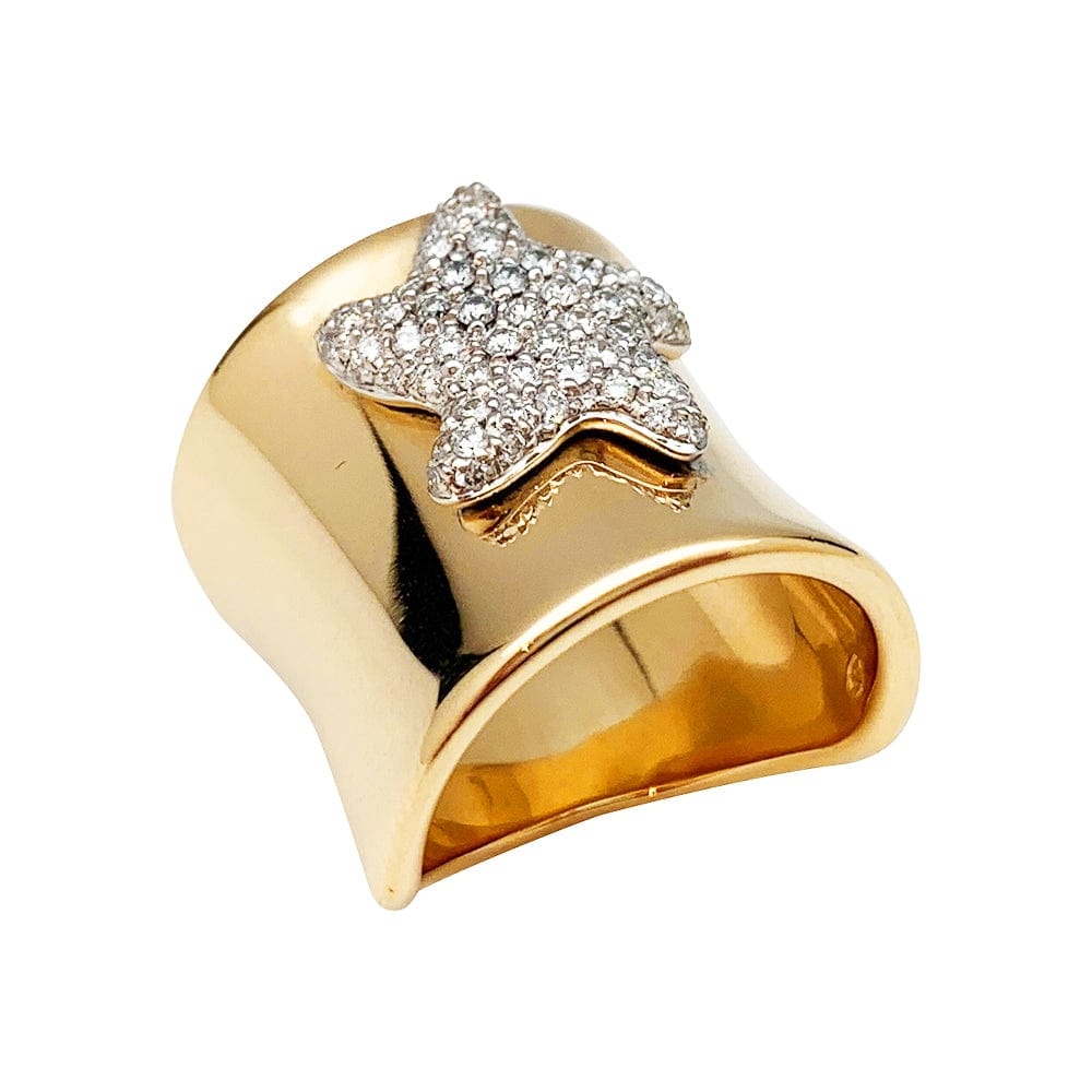 Yellow and white gold ring, diamond marine star. - . Görsel