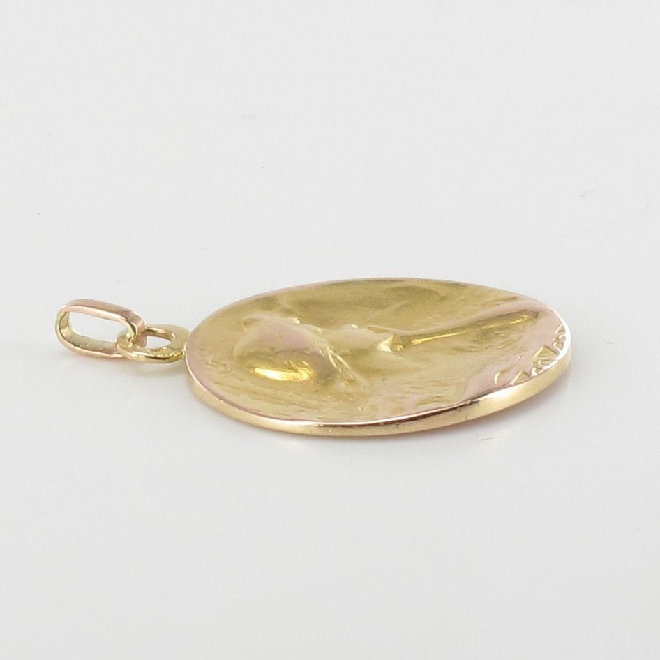 Old rose gold medal portrait of a woman - . Görsel